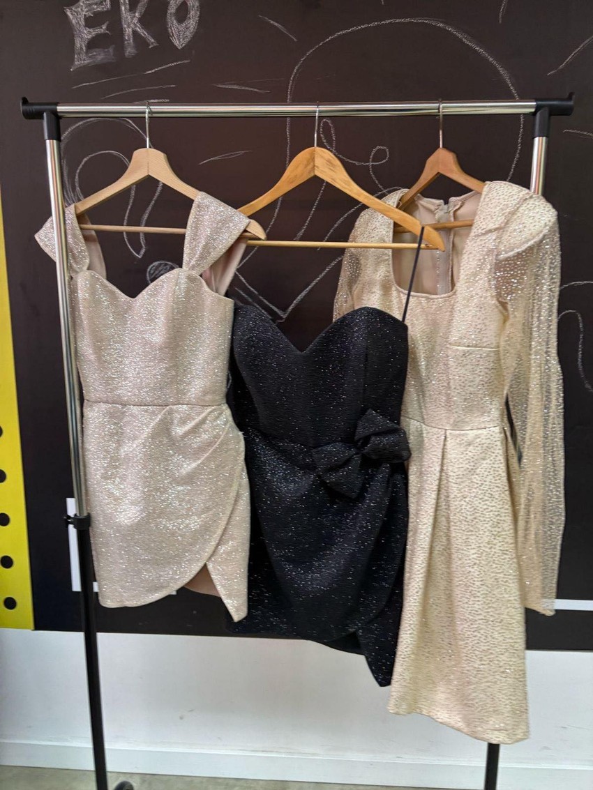 Akcija "Matura za sve" u Nišu