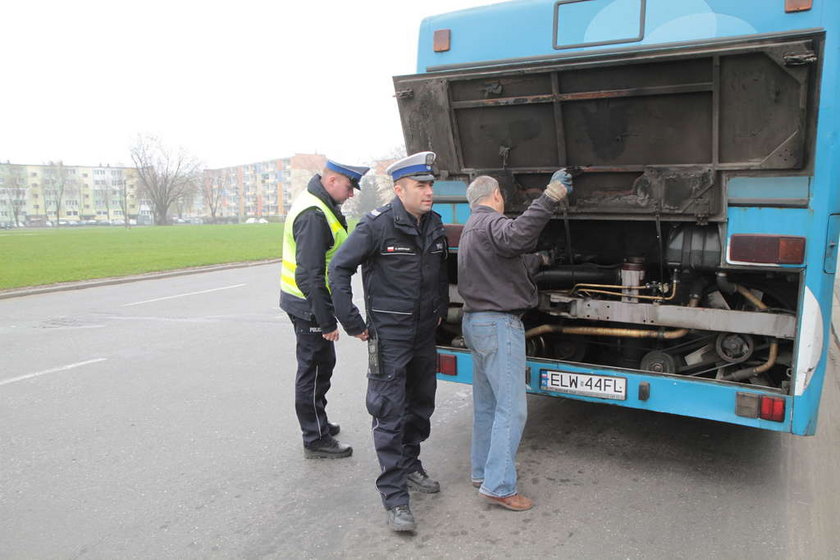 Policja skontrolowała autobusy