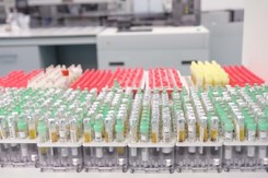 Włosi przeprowadzili najwięcej testów w przeliczeniu na liczbę mieszkańców