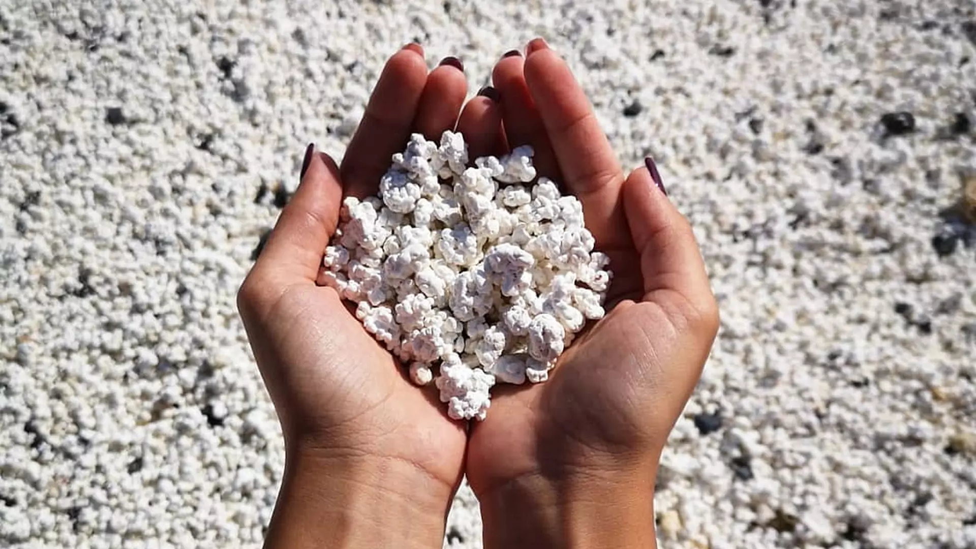 Popcorn beach - plaża, która wygląda jak posypana prażoną kukurydzą