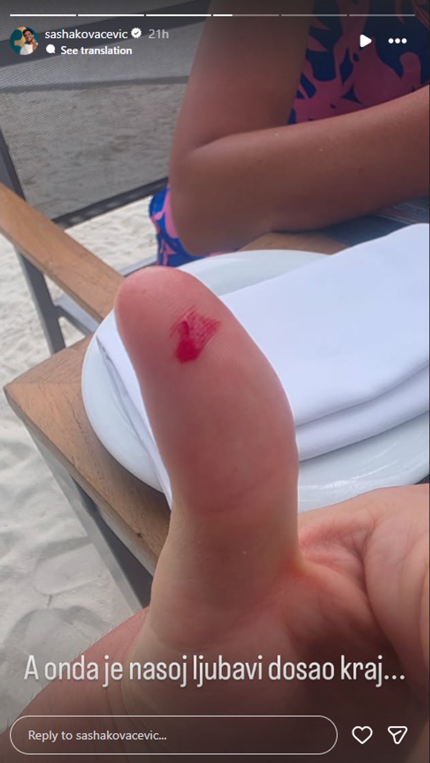 Avantura Saše Kovačevića i sive čaplje