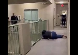 Policija ubila psa u Los Anđelesu