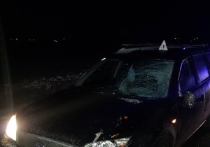 Poginuo pešak Vladimirci