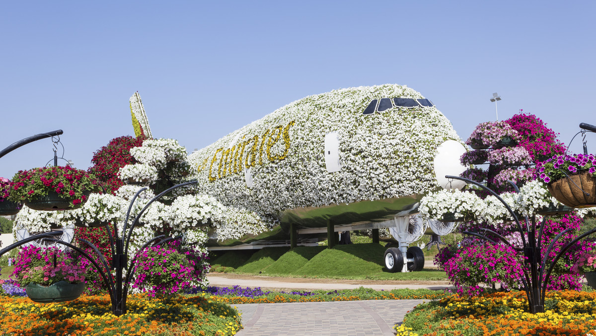 Martyna Wojciechowska pod wrażeniem kwiatowego samolotu w Dubaju