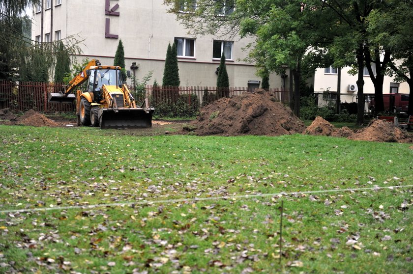 Stawy Jana wypięknieją