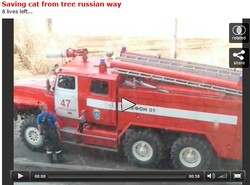 Ściąganie kota z drzewa sposobem rosyjskich strażaków [WIDEO]