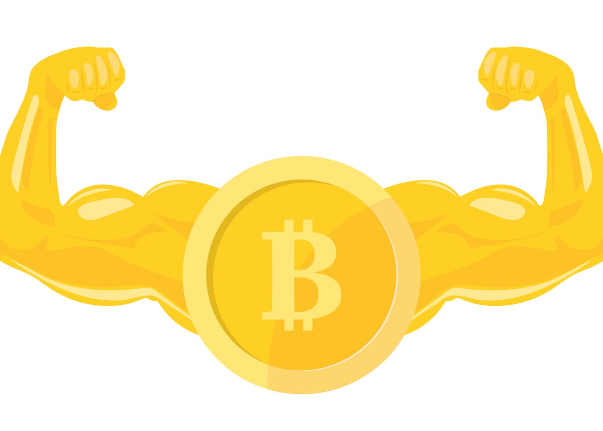 Bitcoin pobija rekordy, a z nim inne kryptowaluty. Czy to koniec  kryptowalutowej zimy? - Inwestowanie - Forbes.pl