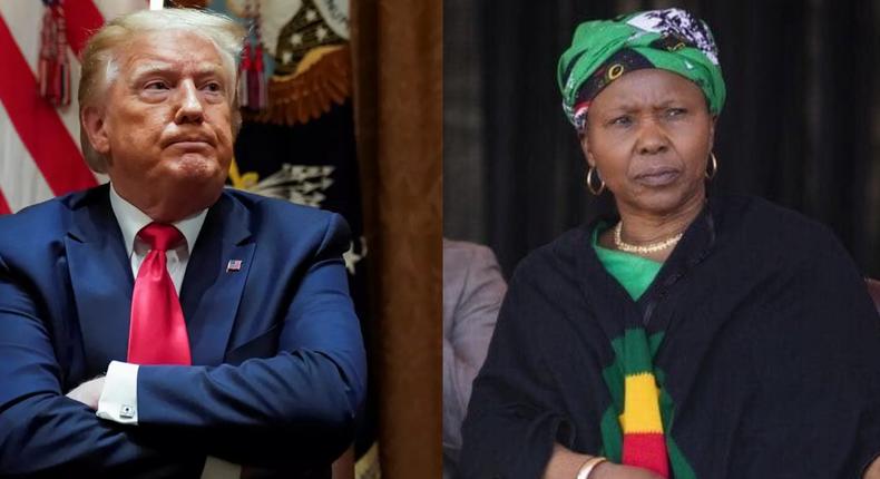 Zimbabwe’s Defence minister battles covid-19 after saying it was God’s wrath on Trump and the West