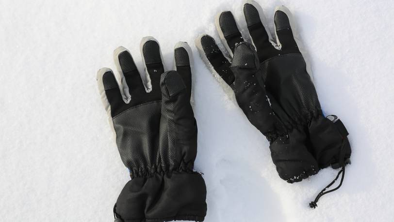 Beliebte Wintersport-Handschuhe für Damen im Vergleich - guenstiger.de  Kaufberatung und Preisvergleich