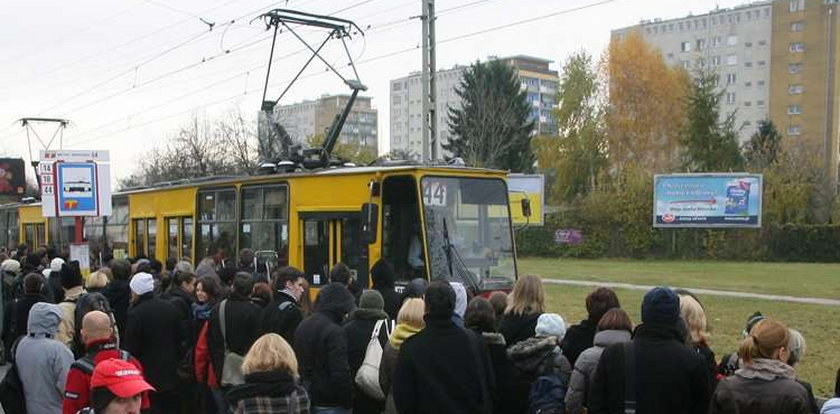 Dajcie tu więcej tramwajów!