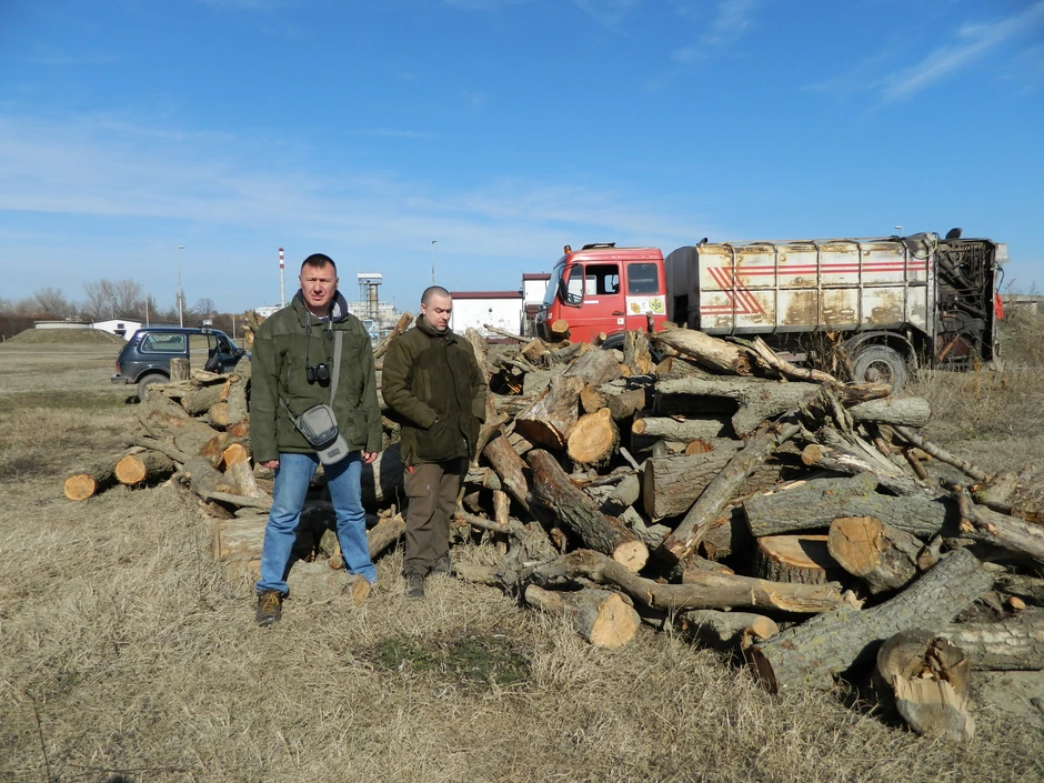 Zaplenjena drva od šumokradica