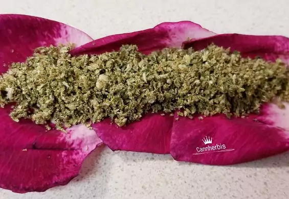 Marihuana w płatkach róż. Zielarski trend rodem z Instagrama