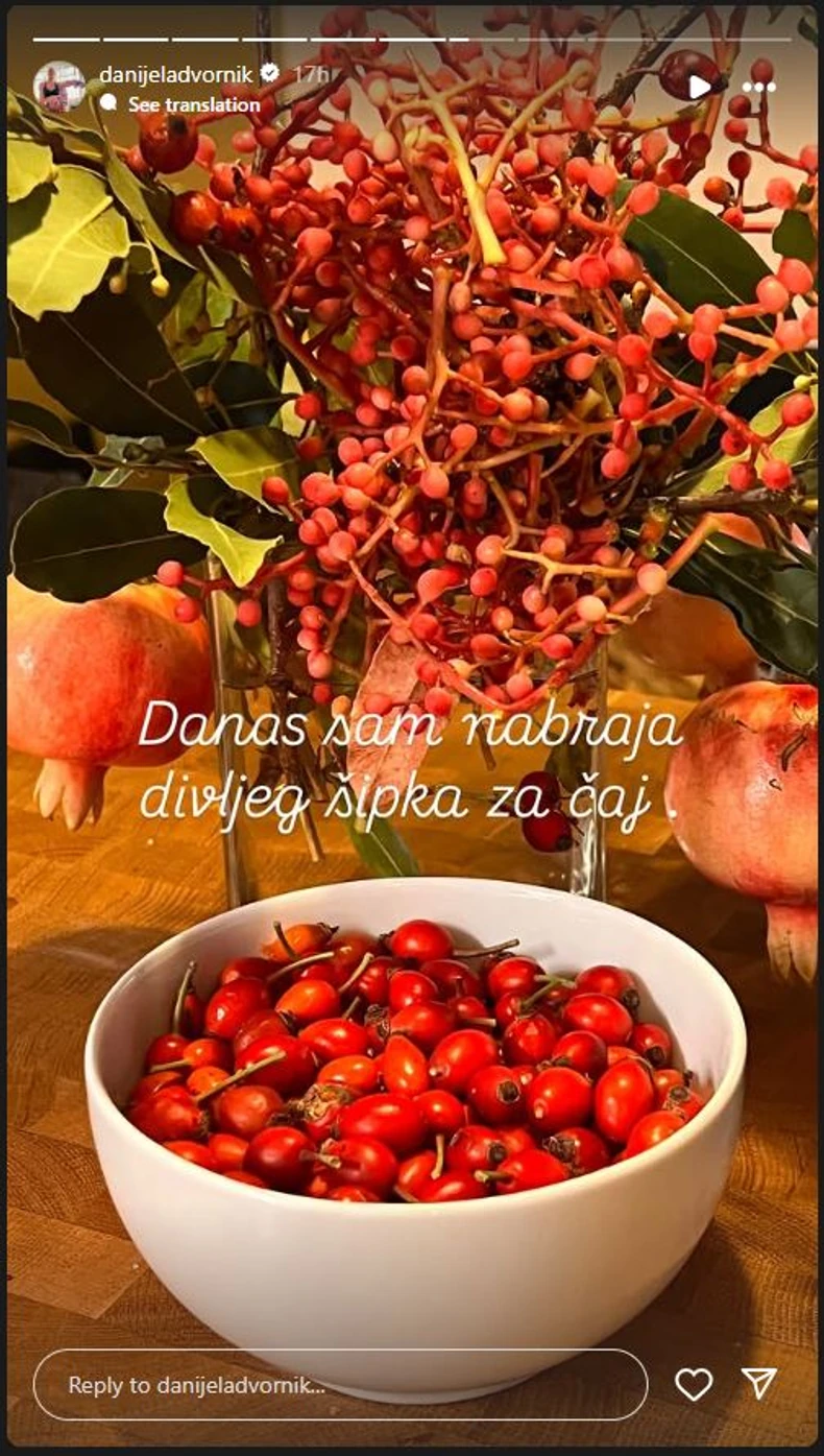 Danijela Dvornik pokazala dvorište