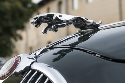 Jaguar odkupi od BAH niesprzedane samochody swoich marek