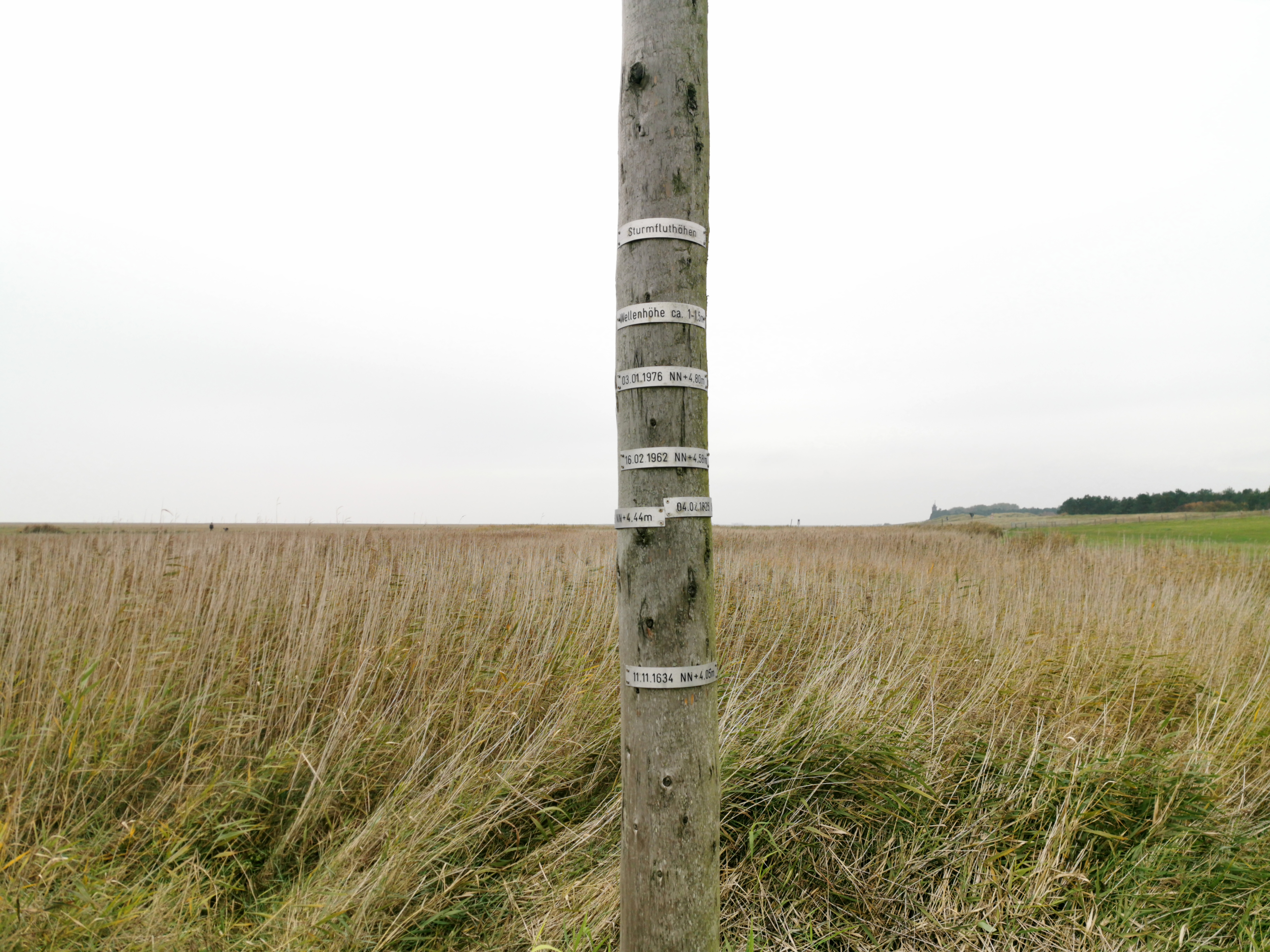 Sturmflut an der Nordsee: Heute Nacht bis zu 2 Meter Überstand