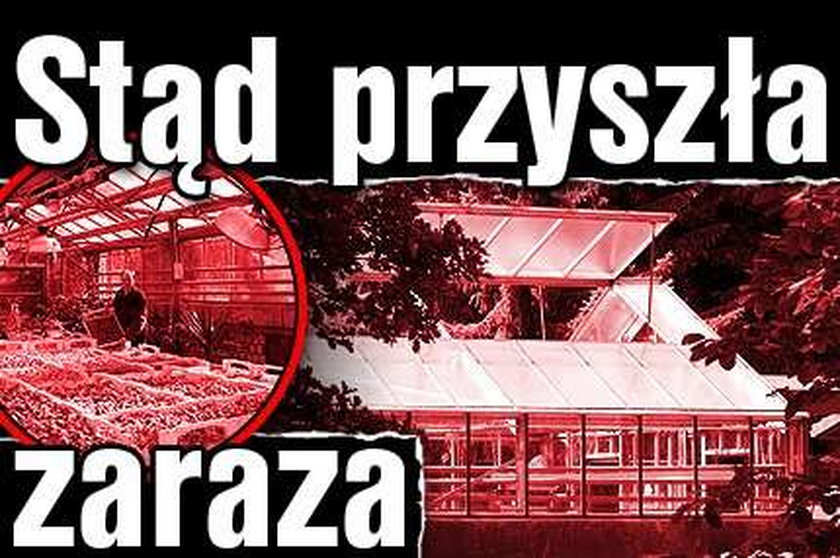 Stąd przyszła zaraza!