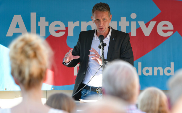 Lider AfD: Jesteśmy jedynym narodem, który posadził sobie pomnik hańby w samym sercu stolicy