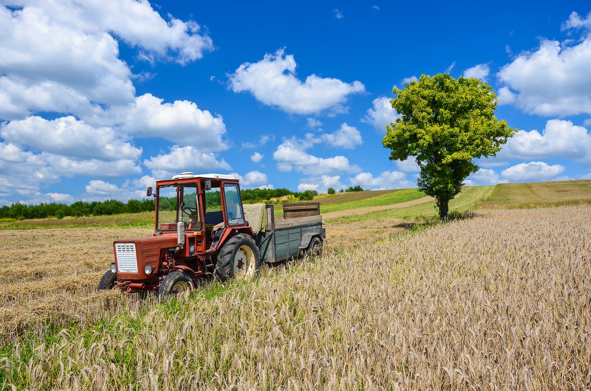 Sejm przedłuża zakaz sprzedaży państwowej ziemi rolnej