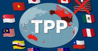 Premier Japonii: Po wycofaniu się USA z TPP pozostałe kraje muszą współpracować
