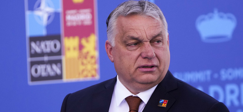 Ukraiński szantaż Orbana. Czy Węgry zablokują drogę Kijowa do NATO? [OPINIA]