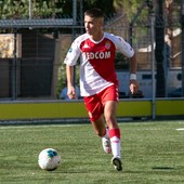 Fudbalska Reprezentacija Srbije Blic Sport