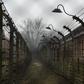 Auschwitz oboz koncentracyjny