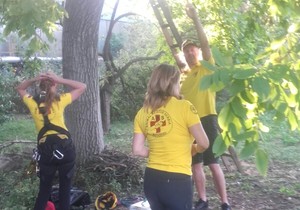 Spasavanje mačka Đure u Batajnici