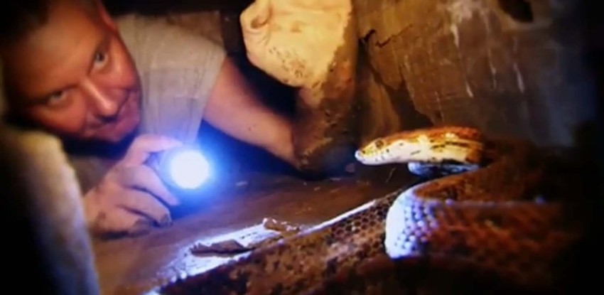 "Animal planet" ima ljude "koji smeju ono što niko ne sme"