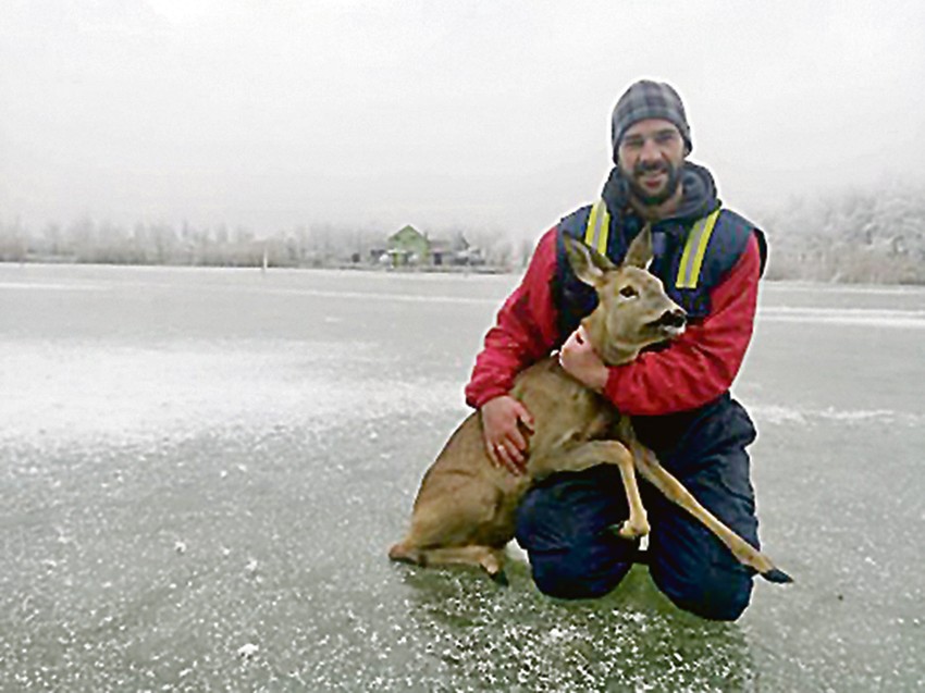 Ribolovac Marko Protić postao je junak svih lokalnih priča kada je sa zaleđenog jezera laguna spasao životinju