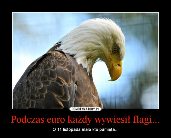 Święto Niepodległości - najlepsze memy