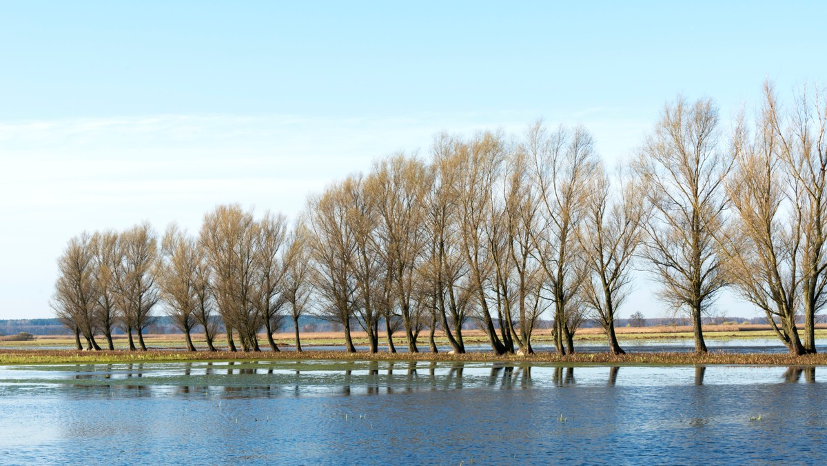 Największy polski park narodowy - Biebrzański - oraz największy litewski - Dzukijski Park Narodowy będą się wspólnie promować jako miejsca atrakcyjne dla turystyki ornitologicznej i ekoturystyki. M.in. po to, by podglądać rzadkie gatunki ptaków, rokrocznie nad Biebrzę przyjeżdża wielu turystów, także fotografów.