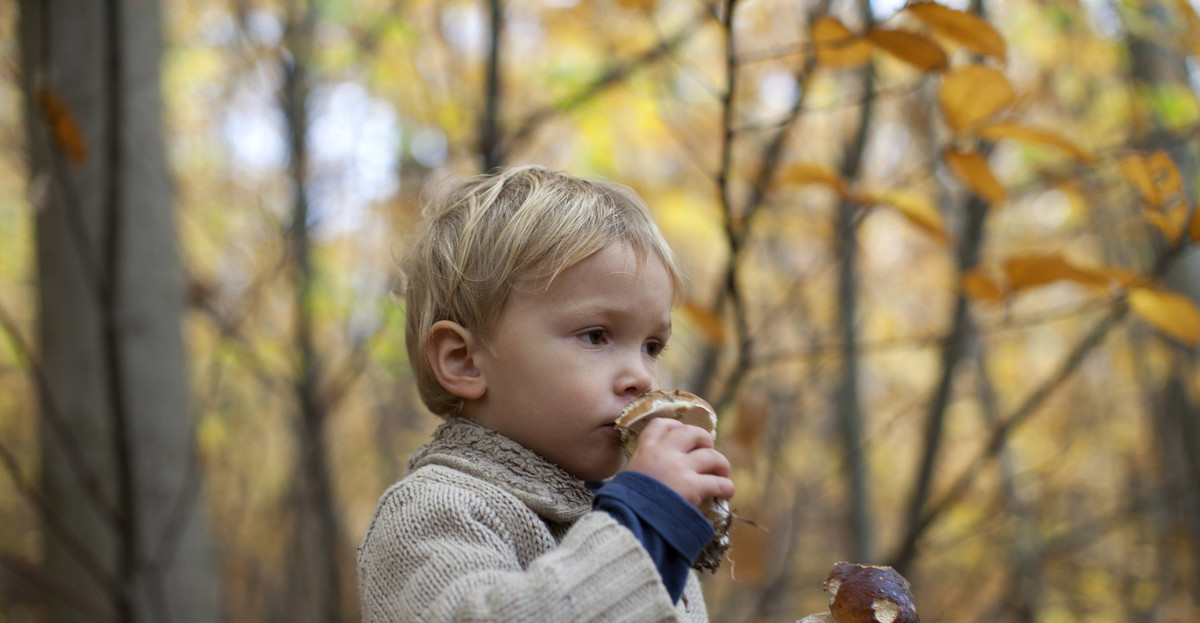 Czy dzieci mogą jeść grzyby i pieczarki?