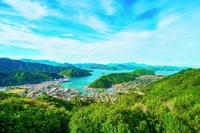 Co warto zobaczyć w Nowej Zelandii? Znajdziecie tam prawdziwe cuda