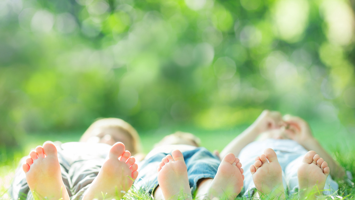 Utworzenie nowych parków miejskich i specjalnej jednostki nadzorującej utrzymanie zieleni w mieście planują w nadchodzącym roku władze Krakowa. O wycince drzew związanej z inwestycjami mają być informowane Rady Dzielnic i podczas konsultacji społecznych mieszkańcy.