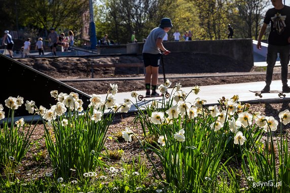 Park Centralny w Gdyni w kolorowej odsłonie [ZDJĘCIA]