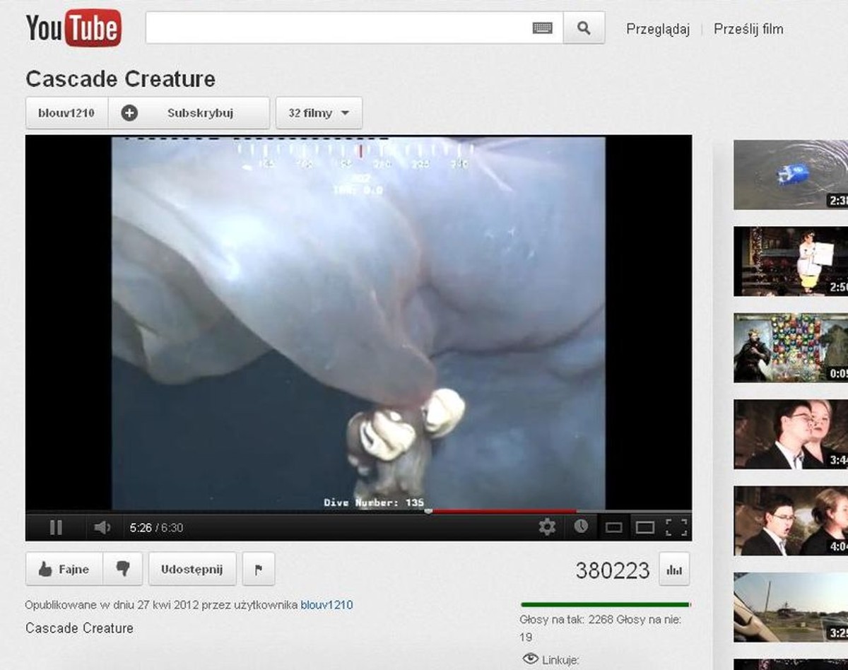 Dziwny stwór w głębinach