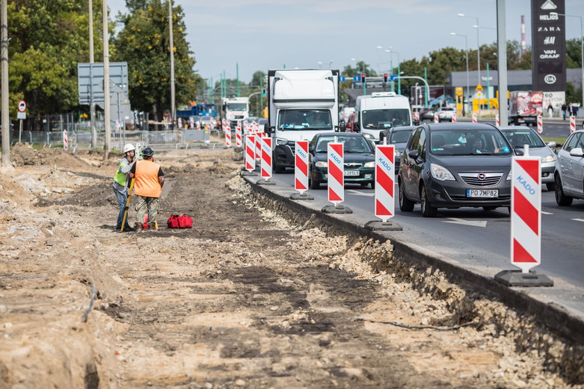 Usuną sto drzew, bo przesadzanie jest za drogie