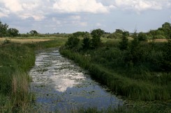 Tragiczny wypadek na jeziorze Tałty. Zderzyły się motorówka i skuter wodny