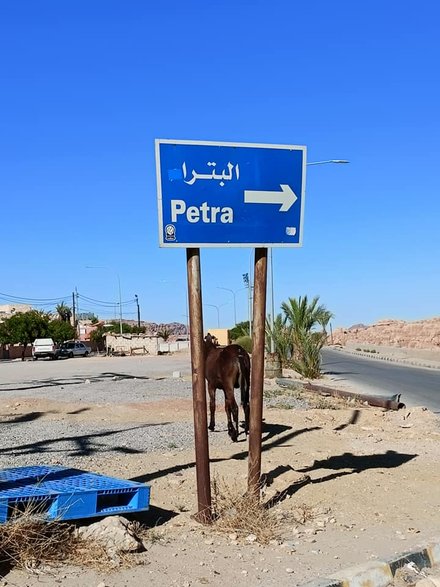 Petra