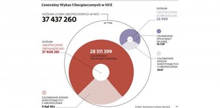 Jak działa Centralny Wykaz Ubezpieczonych