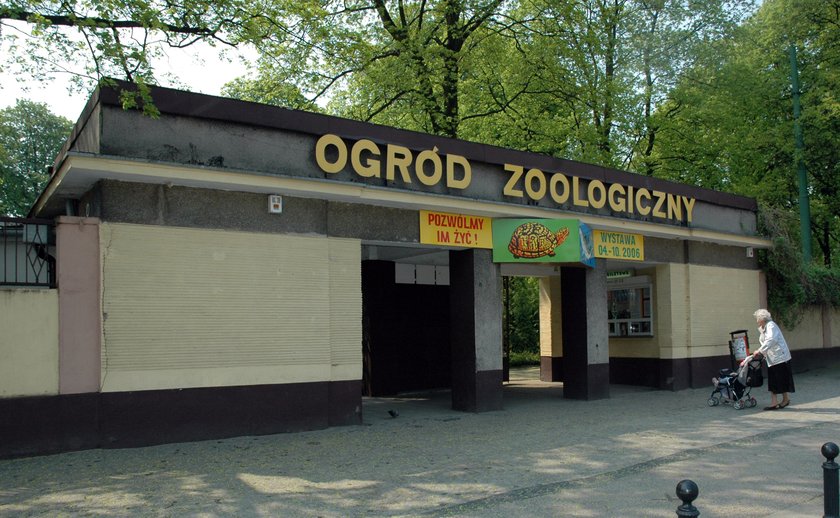 Wejście do Starego ZOO