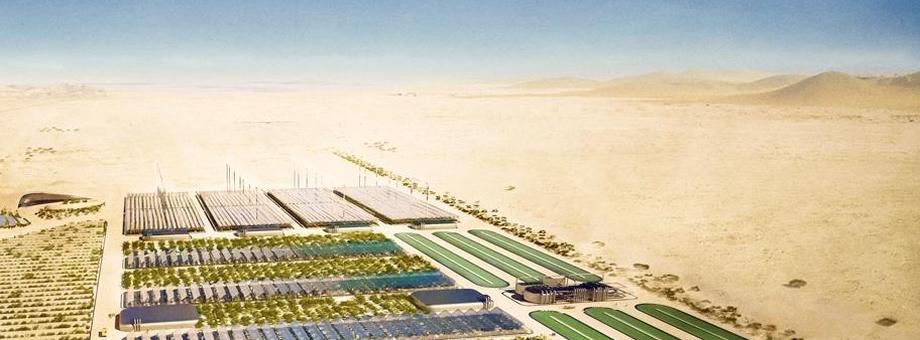 Sahara Forest Project