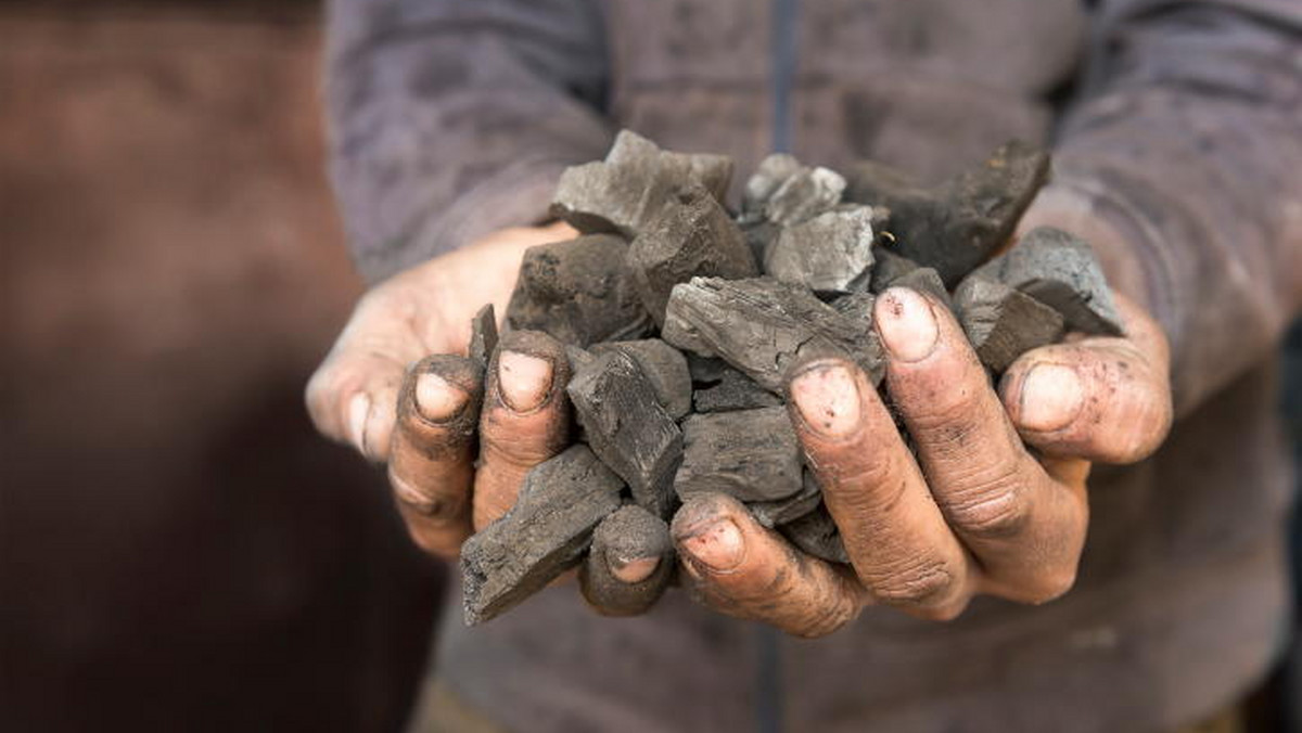 Odtajnienia planu naprawczego Kompanii Węglowej chcą prezydenci dwóch śląskich miast, na terenie których działają kopalnie tej największej górniczej firmy w Europie – Gliwic i Rudy Śląskiej. Obawiają się redukcji zatrudnienia w tych zakładach.