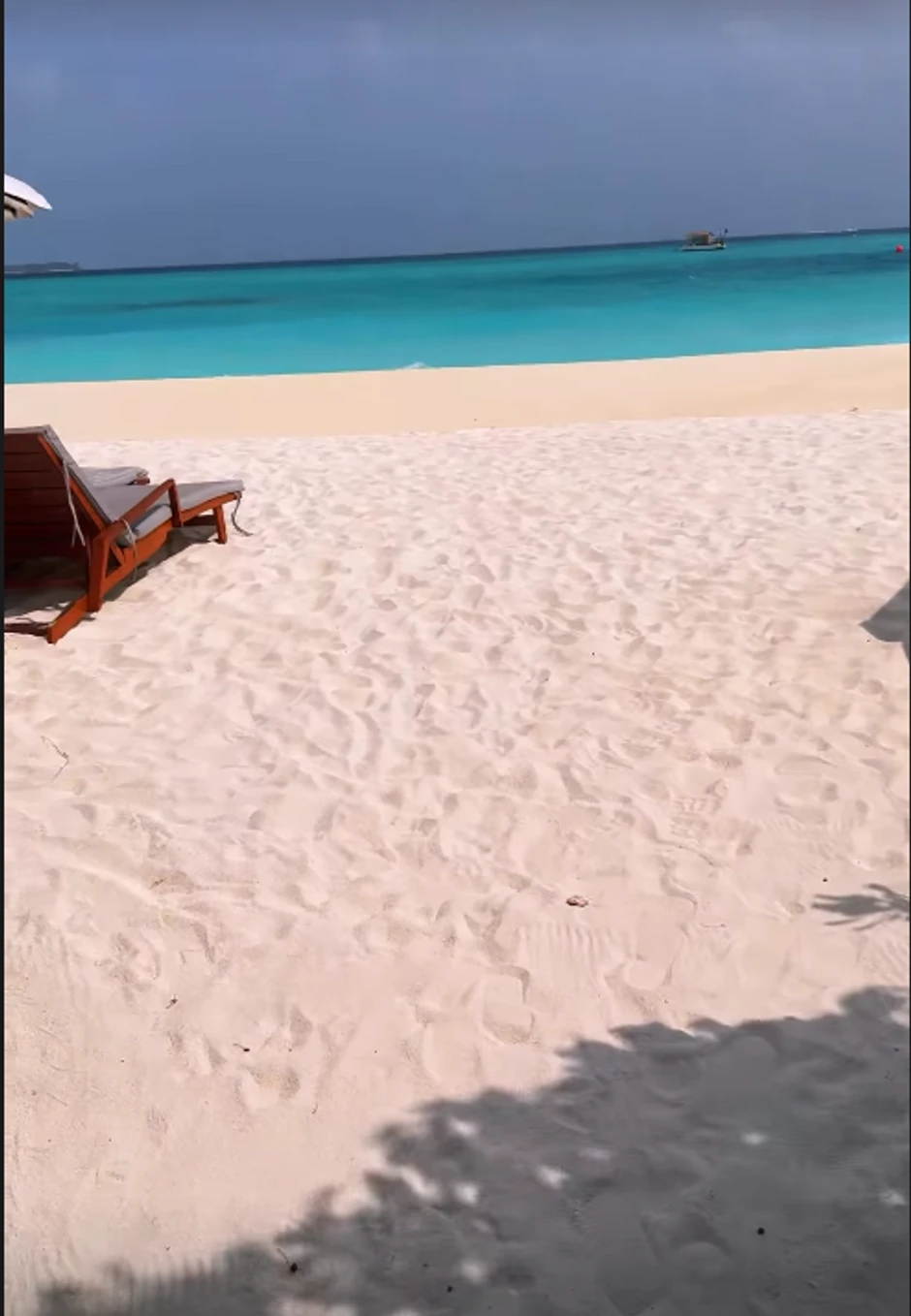 Saša Kovačević, objava