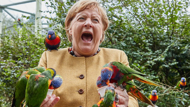 Angela Merkel rozbawiona przez papugi. Ujęcia z kanclerz Niemiec hitem w sieci [ZDJĘCIA]