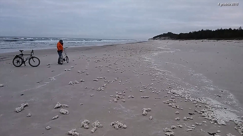 Plaża w okolicach Ustki