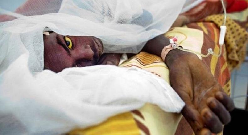 A recent meningitis outbreak in 23 Nigerian states has claimed over 1000 lives