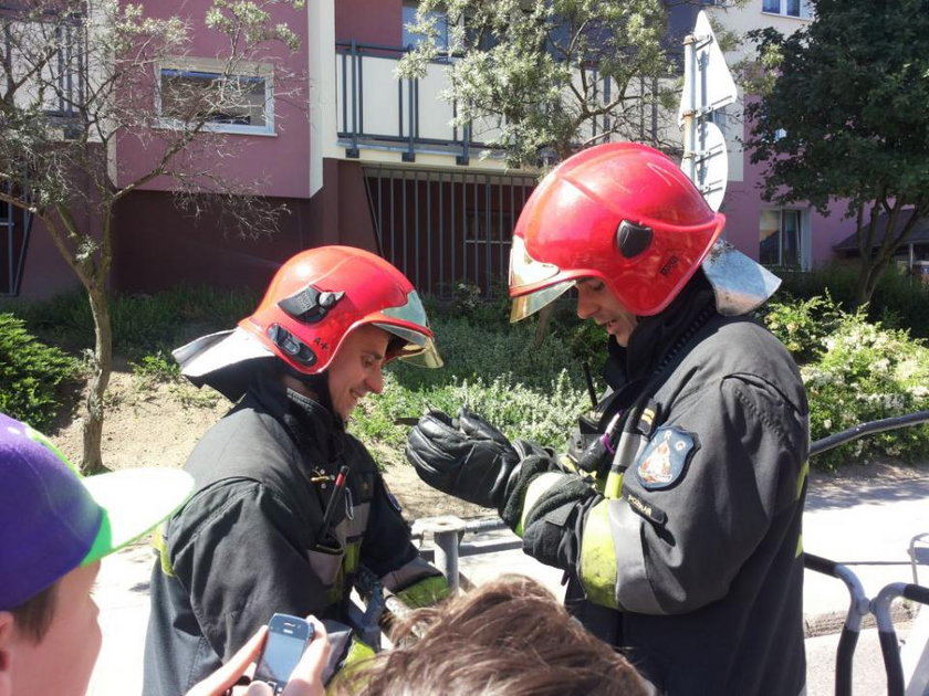 Poznańscy strażacy uratowali ptaszka