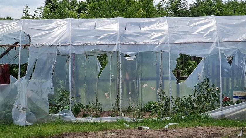 Szwagier tornado! Z zemsty zdemolował działkę