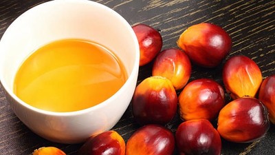 NPPAN urges FG to set up palm oil markets to tackle adulteration